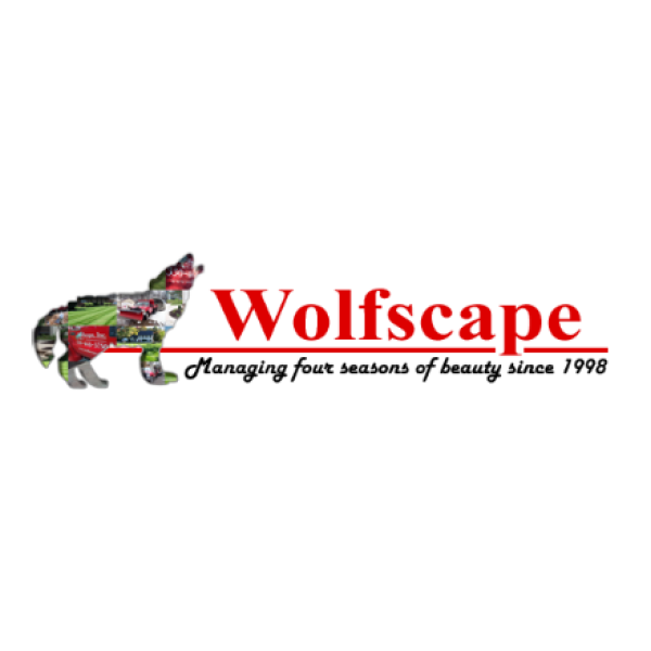 Wolfscape logo