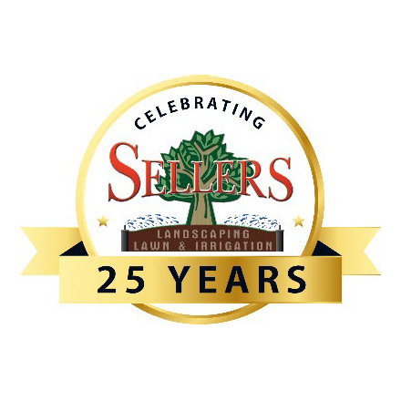Sellers Services, Inc. logo