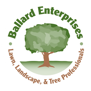 Ballard Enterprises logo